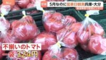 今シーズン初の猛暑日・大分県日田市と兵庫県豊岡市で35.3℃！暑さ前倒しで野菜が悲鳴 キャベツが茶色に…　そんな中、お得な野菜の穴場を発見！「安い！大歓迎」