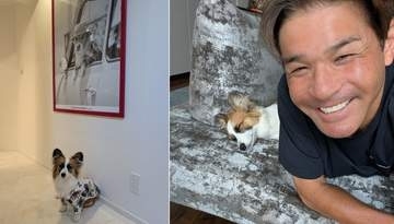 【 いぬ 】照英　愛犬パピコが愛犬テンのアロハシャツを着用「ジャストサイズ！」　ポスターとの2ショットにフォロワー「愛が受け継がれてますね」