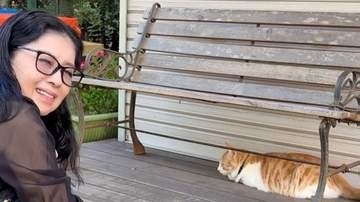 独立公表【 藤あや子 】神宮で〝かわい子ちゃん猫〟〝おみくじ大吉〟「晴れやかな第二章のスタート」青空の下で期待を込める