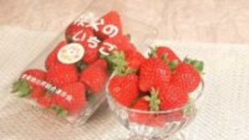 いちごの覇権争い…次に来るのは埼玉の「あまりん」？いちご選手権3連覇の実力「酸っぱみと甘みのバランスが美味しい」