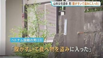「腹がすいて食べ物を盗みに入った。女性がいたので殺した」ベトナム国籍の33歳男が供述　埼玉県飯能市の山林で91歳女性の遺体発見めぐり