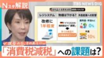 高市総理が掲げる“消費税0％”実現への課題は？“事実上の増税”懸念と「外為特会」の限界【Nスタ解説】【選挙の日、そのあとに。】