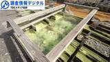 「農業高校の生徒が「湯の花」から農薬や土壌改良剤の代替品を開発 ＜シリーズSDGsの実践者たち＞【調査情報デジタル】」の画像1
