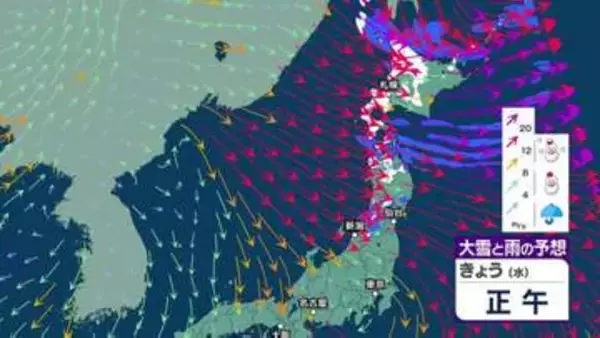 【28日の天気】東京で「木枯らし1号」発表　札幌・青森など北日本で初雪観測　全国的に北風強く…低い体感気温に