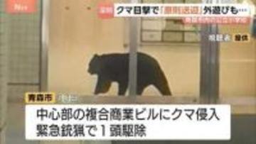 「子どもが遭遇しないか不安」15日に緊急銃猟で駆除もクマ目撃情報3日間で180件の青森市　6割の小中学校で保護者送迎を原則