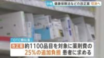 出産費用無償化などを含む健康保険法改正法案　衆議院通過の見通し　ロキソニンやアレグラなど約1100品目は自己負担25％追加へ