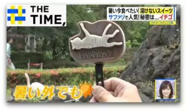アイスもチョコも「溶けないスイーツ」が全国に拡大中【THE TIME,】