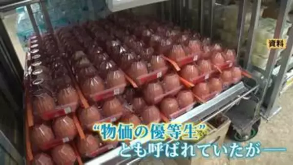 「もう優等生じゃない」卵1パックが308円と高止まり続く　エサ代の高騰に加えて資材費・燃料費高騰への不安も