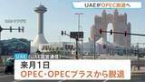 「UAE（アラブ首長国連邦）がOPEC（石油輸出国機構）を脱退へ 「長期的にはOPECの構造的弱体化が予想される」専門家分析」の画像1