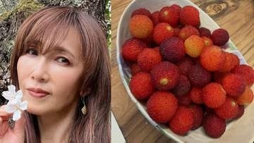 【 工藤静香 】　赤く実った「山桃」の収穫を報告　こだわりの手作りピクルスやハーブ炭酸水にファンから「お洒落」「何でもある」と絶賛の声