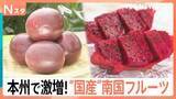 「パッションフルーツにパパイヤ…千葉や埼玉で南国フルーツが急増　ドラゴンフルーツは「皮」も絶品【Nスタ】」の画像1