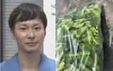 「【 ごみ清掃芸人 】トゲのある植物「集積所のすぐ隣にわかりやすく置いてくれると清掃員は助かります！」【マシンガンズ滝沢】」の画像1