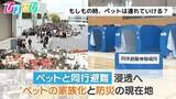 「もしもの時、ペットは連れていける？「ペットと同行避難」浸透へ＿ペットの家族化と防災の現在地【ひるおび】」の画像1
