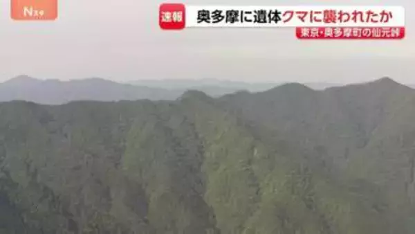 【速報】東京と埼玉にまたがる仙元峠付近で上半身のない遺体　クマに襲われた可能性　周辺には大型動物の足跡　警視庁が身元確認を進める
