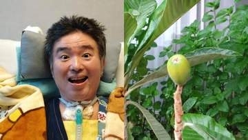 【 ALS闘病 】声優・津久井教生さん　“ベランダ果実”を紹介「かなり大きくなってきました～」「なんか可愛いのです♡」【ニャンちゅう】