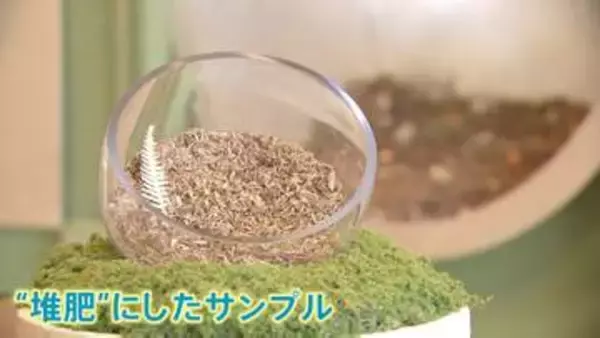 土に還る…アメリカで注目集める“堆肥葬”とは？「子どもたちが歩くたびに思い出してくれる」 新たな故人の送り方
