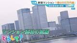 「首都圏「新築マンション」平均1億6000万円超！“脱・タワマン”で戸建てに住みかえも…今後どうなる？【ひるおび】」の画像1