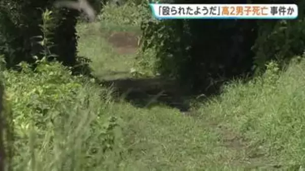 「殴られたようだ」相模原市の農道で意識のない男子高校生（17）が見つかる　その後死亡　事件に巻き込まれた可能性があるとみて捜査