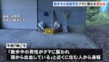 「後ろからガクンとやられた」散歩中の男性がクマに襲われ頭から出血　福井・大野市　高齢男性が搬送　クマは山へ逃げたか