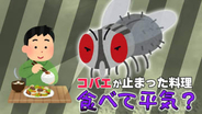 冬に発生の可能性も？「コバエが、料理に一瞬だけ止まってしまった！」その料理、衛生的に大丈夫？専門家に聞いた