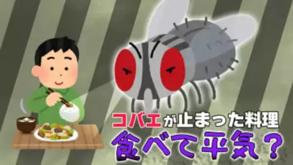 冬に発生の可能性も？「コバエが、料理に一瞬だけ止まってしまった！」その料理、衛生的に大丈夫？専門家に聞いた