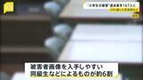 「SNS通じて事件に巻き込まれた小学生が過去最多167人 「性的ディープフェイク」被害も114件…約6割は同級生などによるもの」の画像1