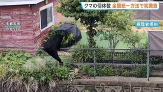 クマの個体数　全国統一の手法で初調査　800台以上のカメラを設置しクマの胸の模様で個体を識別　きょうから