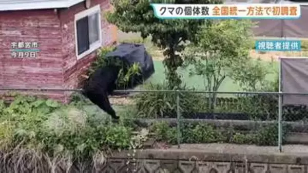 クマの個体数　全国統一の手法で初調査　800台以上のカメラを設置しクマの胸の模様で個体を識別　きょうから