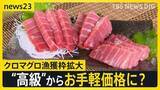 「クロマグロ漁獲枠25％拡大で合意　来年はトロ1皿「580円→480円」に？ “反対”表明のメキシコが一転して“賛成”【news23】」の画像1