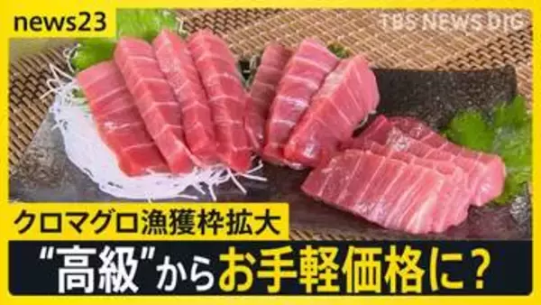クロマグロ漁獲枠25％拡大で合意　来年はトロ1皿「580円→480円」に？ “反対”表明のメキシコが一転して“賛成”【news23】