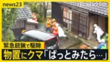 富山で民家の物置にクマ侵入→緊急銃猟で駆除　観光地ではクマめぐる“誤情報”も…目撃されたのはクマではなく“ニホンカモシカ”【news23】