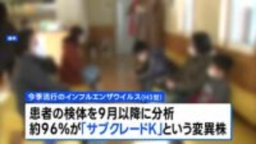今季流行のインフルエンザウイルス　96％が変異株「サブクレードK」　国立健康危機管理研究機構