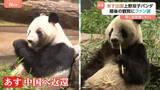 「「楽しい“パン生”を送って」双子パンダ「シャオシャオ」「レイレイ」中国へ 最後の観覧に別れ惜しむファンは涙」の画像1