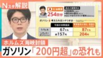 ホルムズ海峡“封鎖”でガソリン200円超の恐れも　イラン情勢悪化で夏以降に電気代も影響か　懸念は「3週間分」の天然ガス【Nスタ解説】