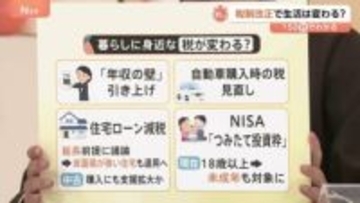 税制調査会で「年収の壁」「住宅ローン」「NISA」なども議題に　減税や積極財政のリスクは？【Nスタ解説】