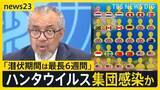 「クルーズ船の乗客30人がすでに下船　複数人がハンタウイルス感染確認　寄港予定の島では抗議デモ【news23】」の画像1