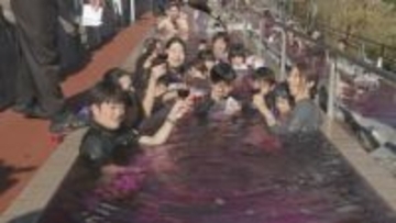 神奈川県箱根町の温泉施設に贅沢な露天風呂「ボージョレ・ヌーボー風呂」が登場　今月24日まで