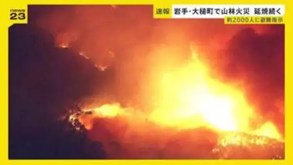 「おとといも津波で避難したのに…」岩手・大槌町で山林火災…約2000人に避難指示　発生から約9時間後も延焼中【news23】