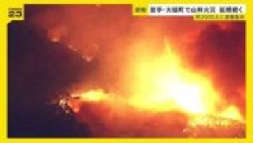 「おとといも津波で避難したのに…」岩手・大槌町で山林火災…約2000人に避難指示　発生から約9時間後も延焼中【news23】