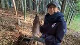 「【 木村多江 】タケノコ掘り〝2回も〟収穫にご満悦の笑み　竹林で癒し満喫　フォロワー「今年もアップされましたね」」の画像1