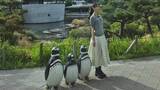 「【 森川葵 】「笑」ペンギンと見分けつかず　独特の存在感にフォロワー「クマンナからペンギンヌに」「何回もみてまう」」の画像1