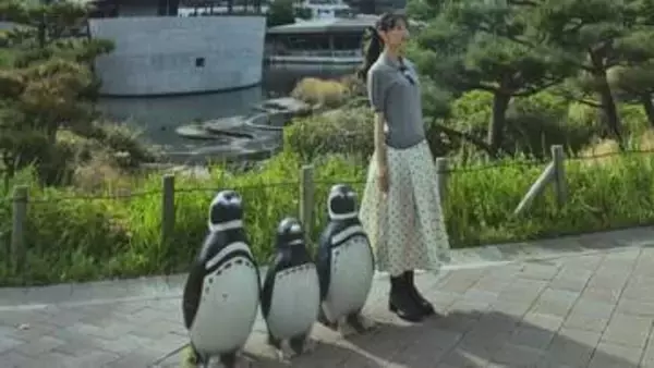 【 森川葵 】「笑」ペンギンと見分けつかず　独特の存在感にフォロワー「クマンナからペンギンヌに」「何回もみてまう」
