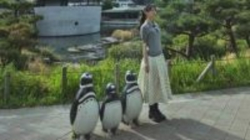 【 森川葵 】「笑」ペンギンと見分けつかず　独特の存在感にフォロワー「クマンナからペンギンヌに」「何回もみてまう」