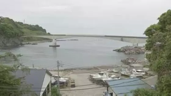 神奈川・真鶴町の海で男女4人が見つかる　いずれも死亡　近くの防犯カメラには橋から飛び降りる人の様子　警察が関連を捜査