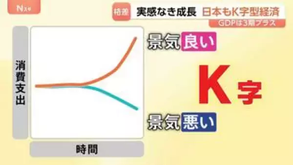 「ボーナス多かった」高額消費の一方で「節約に」 GDP3期連続のプラス成長も専門家が指摘する二極化「K字型経済」とは