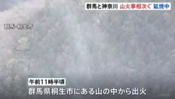 群馬と神奈川で「山火事」相次ぐ　いずれも鎮火に至らず　消防や自衛隊はあすも消火活動