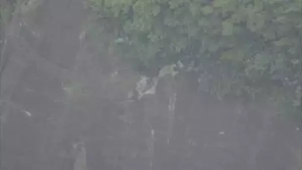 国道1号バイパス　コンクリート片路上に散乱　複数の車パンク　通行止め続く　静岡・清水区