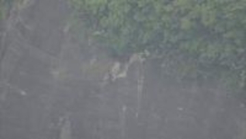 国道1号バイパス　コンクリート片路上に散乱　複数の車パンク　通行止め続く　静岡・清水区