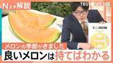 「おいしいメロンの見分け方、ツルに近い上部と、下部のおしりではどちらが甘い？【Nスタ解説】」の画像1