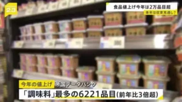 今年の“値上げ”2万品目超える 最多は「調味料」で前年比3倍以上に